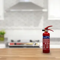 Smartwares BB1 Brandblusser Poeder 1KG